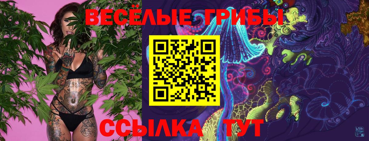 Галлюциногенные грибы Cubensis Кинешма