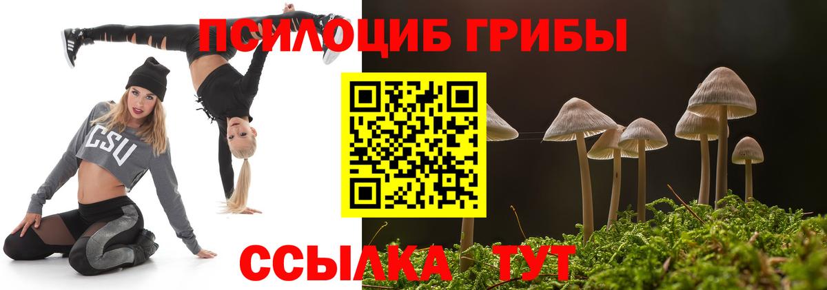 Псилоцибиновые грибы Psilocybe  Вход с VPN  Кинешма 